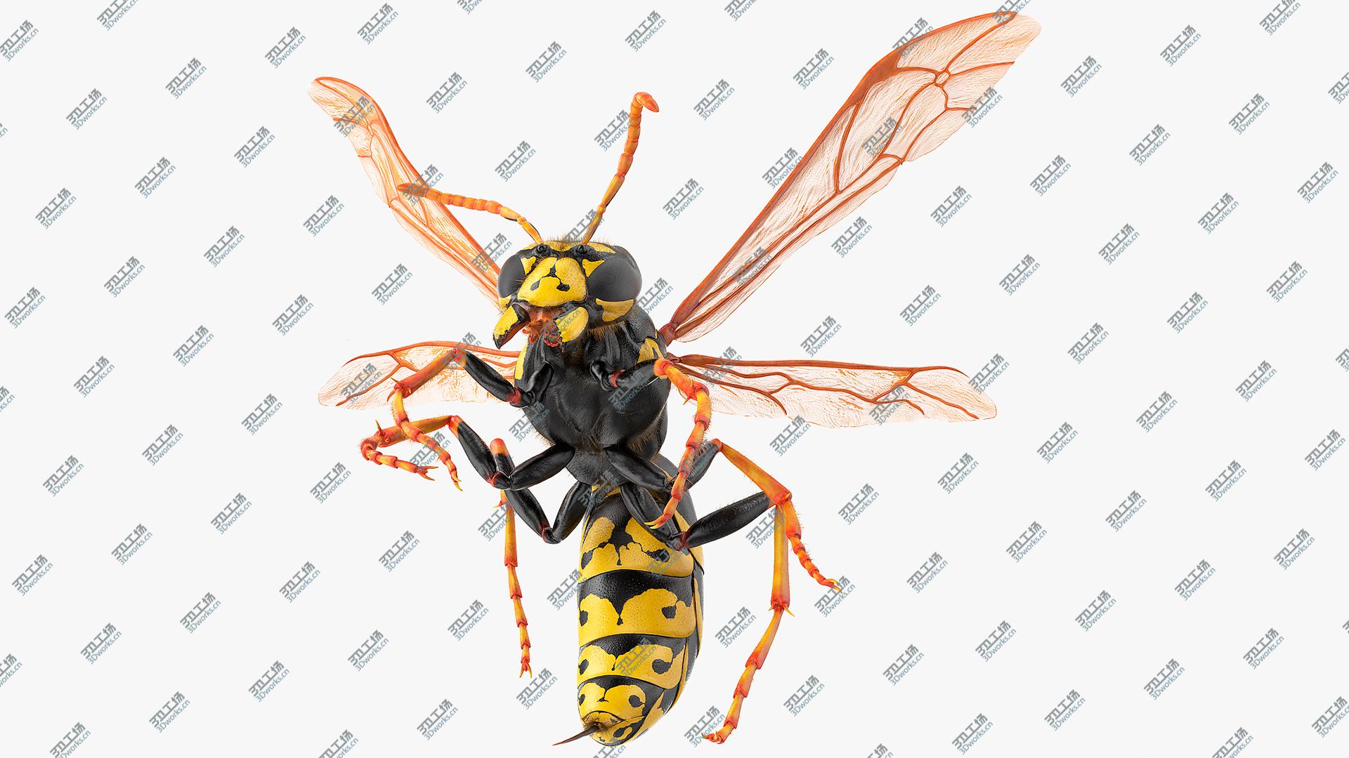 images/goods_img/202104093/3D Wasp Attack Pose Fur/1.jpg